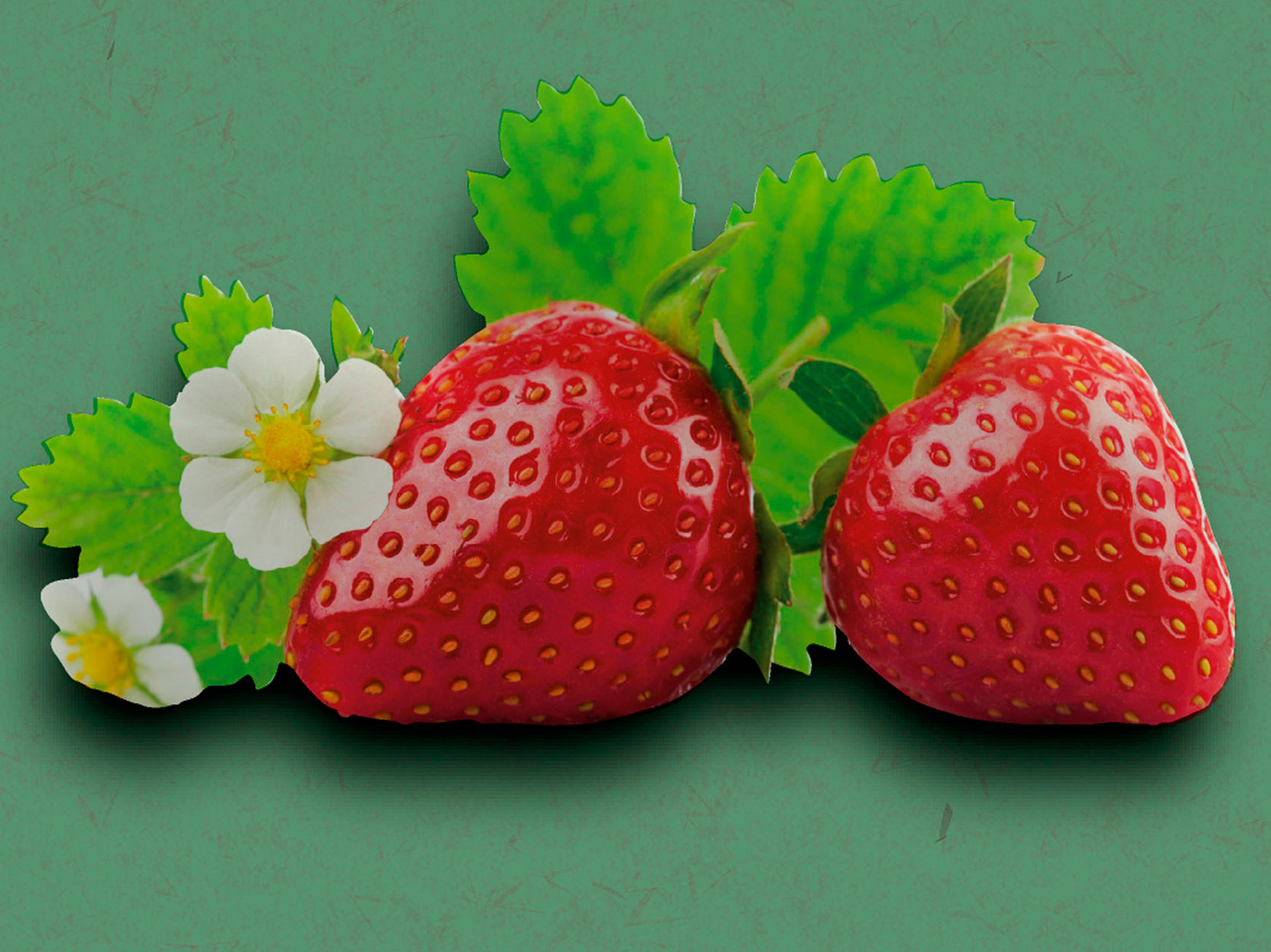 Strawberry Graphic